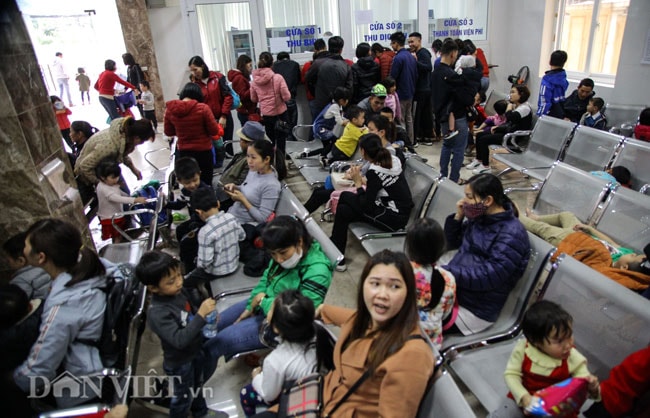 Ảnh: Nghìn gia đình chen chân đợi xét nghiệm sán lợn cho con
