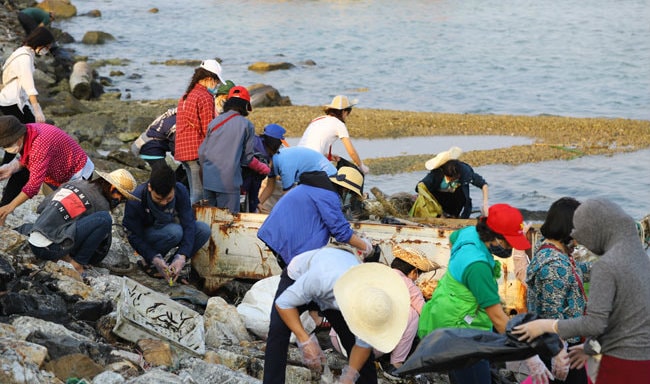 Ảnh, clip: Thanh niên phật tử ba miền chung tay dọn rác đảo Lý Sơn