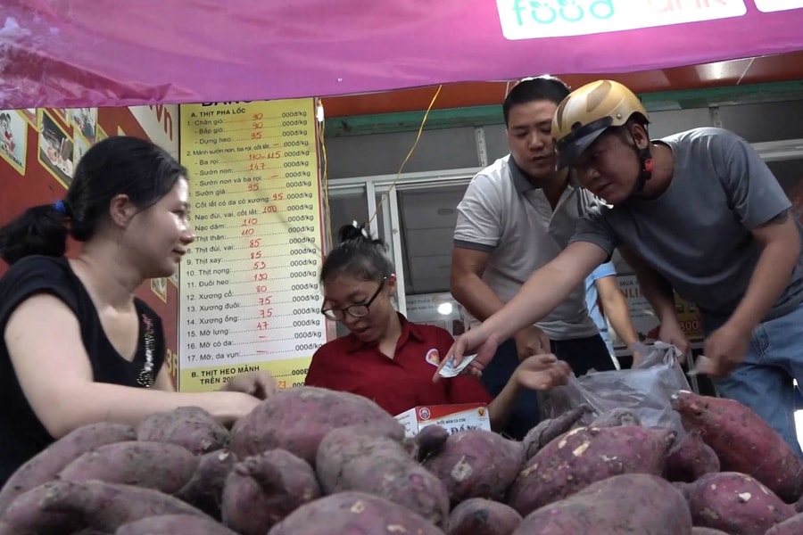 Giá khoai lang "lao dốc", Hà Nội xuất nhiều nhiều điểm bán giải cứu giúp bà con