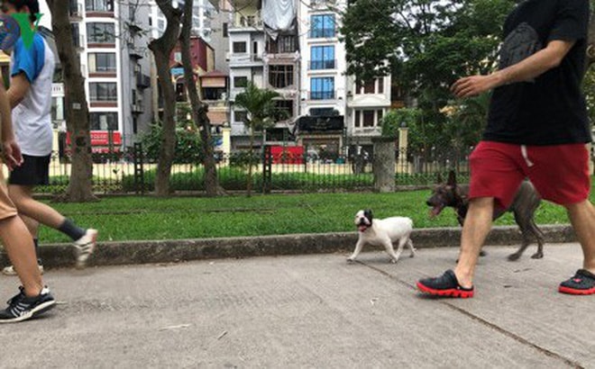 Nom nớp lo sợ khi chó không rọ mõm chạy rông trong công viên