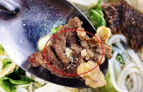 Rùng mình phát hiện cả ổ dòi trong suất ăn trưa của công nhân