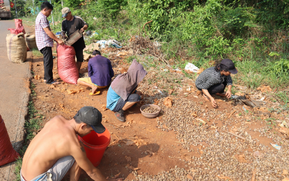 Lật xe container, người dân thu lượm giúp 32 tấn điều tràn ra đường