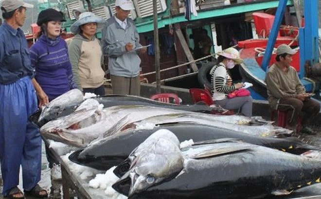 Trung Quốc miễn thuế cho 33 mặt hàng thủy sản nhập khẩu từ Việt Nam