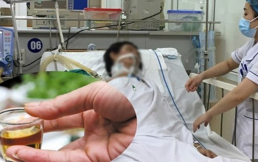 Kinh hoàng những vụ ngộ độc rượu ngâm cây rừng gây chấn động dư luận