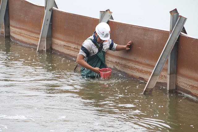 Ảnh: Nước Hồ Tây biến sắc sau thí điểm làm sạch bằng công nghệ Nhật Bản