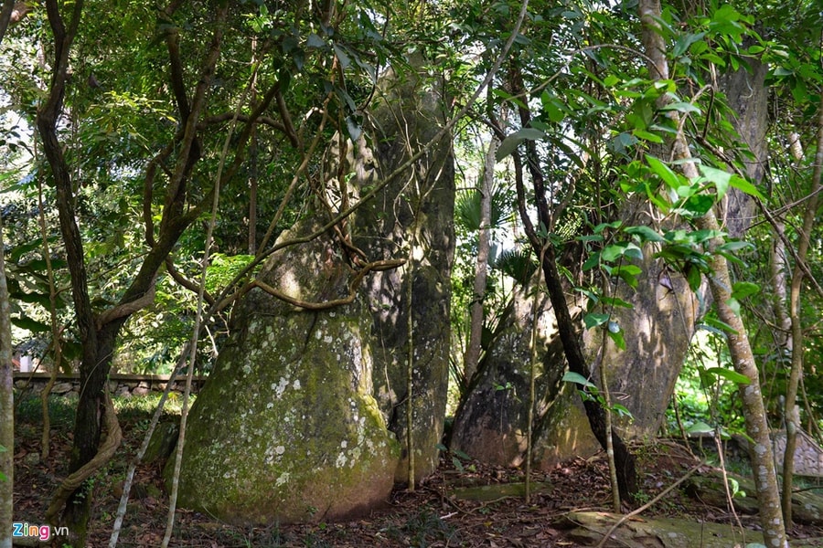 Ảnh: Thăm di tích K9 - căn cứ địa của Chủ tịch Hồ Chí Minh