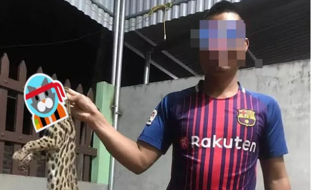 Người đàn ông giết mèo rừng quý hiếm rồi đăng Facebook khoe khiến dân mạng bức xúc