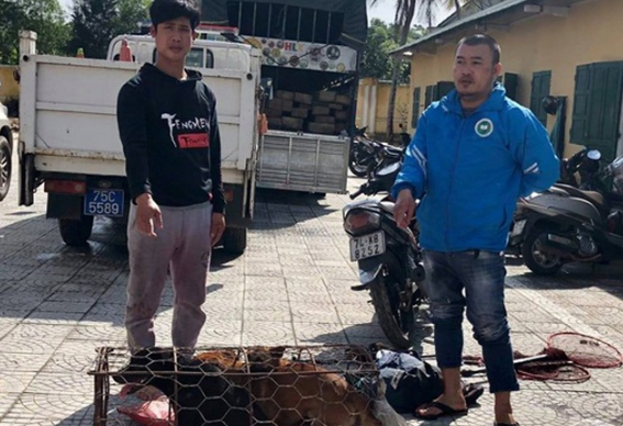 Chủ quán thịt chó đi xe biển giả, dùng bình xịt hơi cay để câu trộm chó mèo