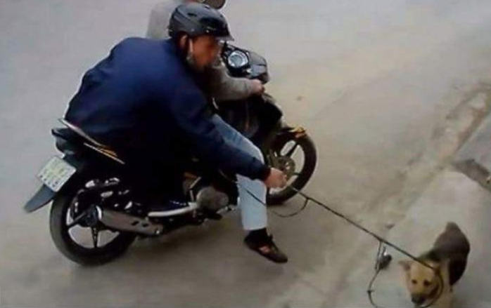 Triệu tập 2 đối tượng trộm chó, tấn công người truy đuổi tử vong