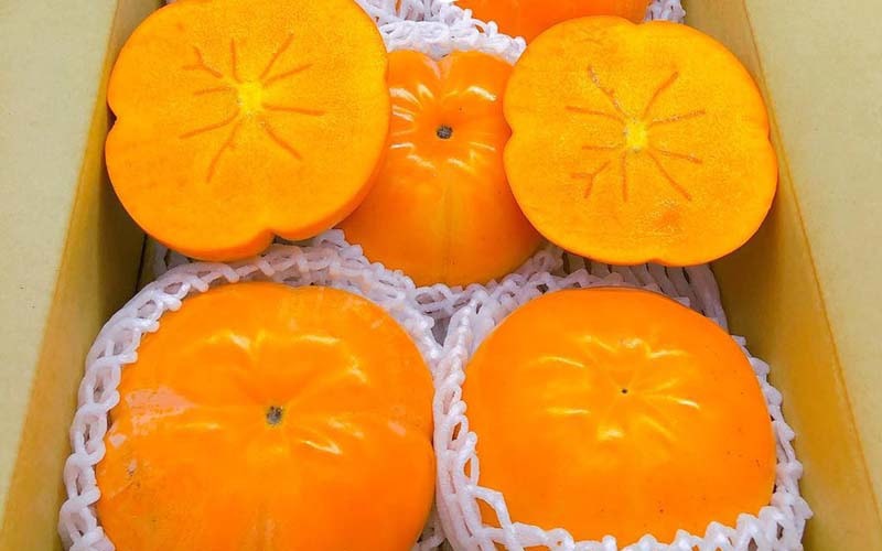 Hồng Nhật khổng lồ thơm mùi sữa, 1 triệu đồng/quả vẫn 'cháy hàng'