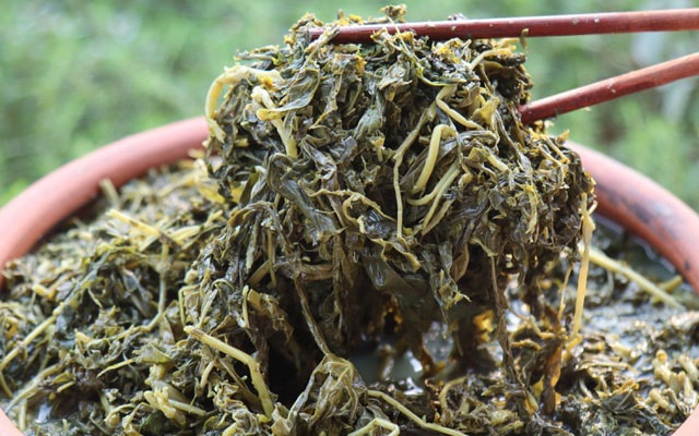 "Thượng đế" săn lùng món dưa nhà nghèo ở Phú Thọ