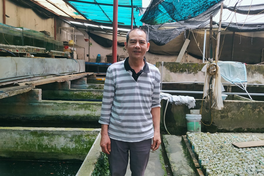 Nuôi cá cảnh trong chai, lão nông thu về hàng trăm triệu đồng mỗi năm