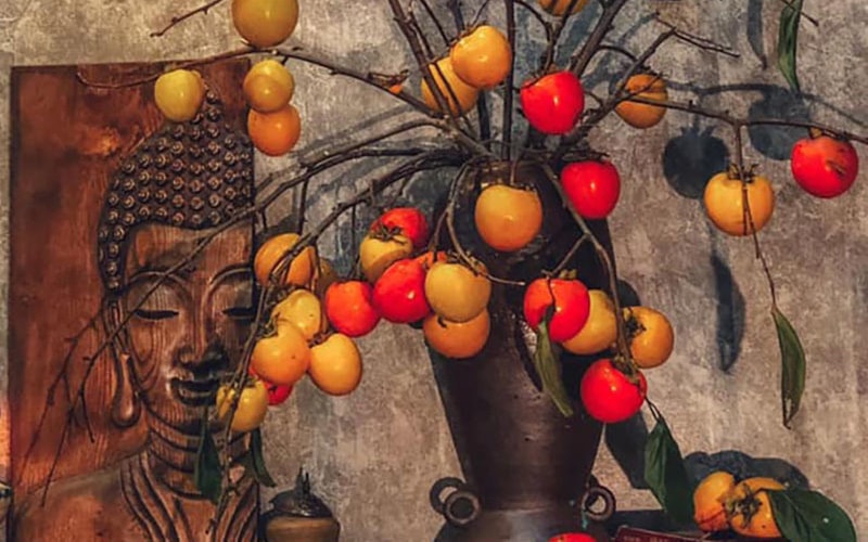 Rước cành hồng quả trên núi về nhà, ngồi chờ chín hái ăn dần