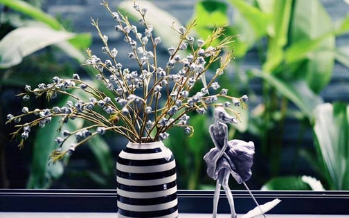 Loại hoa "độc, lạ" khiến chị em Sài thành mê mẩn, lùng mua cắm