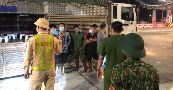 Quảng Ninh: Phát hiện 4 người trốn trong xe chở gia súc để qua chốt