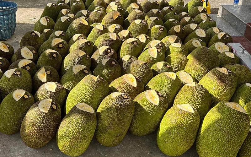 Mít Thái từ miền Nam đổ ra Hà Nội, giá rẻ chưa từng có