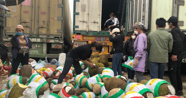 Trăm nghìn tấn trái cây ùn ứ cửa khẩu, mít Thái quay đầu la liệt chờ 'giải cứu'