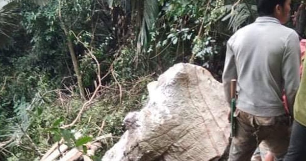 Vào rừng tìm mật ong, người đàn ông bị đá đè tử vong