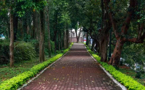 Đẹp ngỡ ngàng tuyến phố đi bộ mới của Hà Nội bao quanh Thành cổ gần 200 tuổi