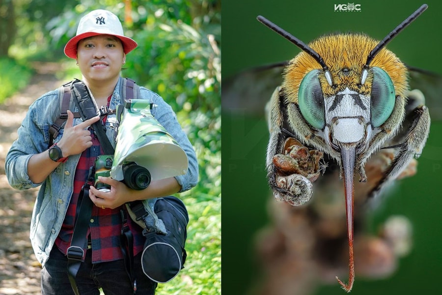 Thế giới tự nhiên độc lạ và ấn tượng qua ống kính macro của nhiếp ảnh gia 8X