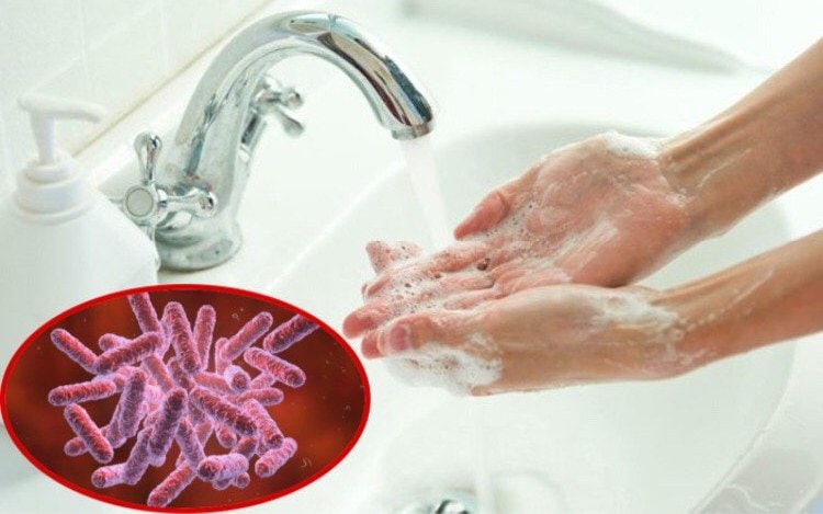 Cảnh báo 'vi khuẩn ăn thịt người' xuất hiện trở lại, làm sao để phòng tránh?