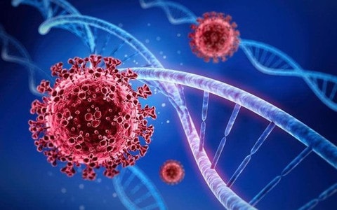 Biến thể phụ BA.2.74 và các "anh em" của nó nguy hiểm đến mức nào? 