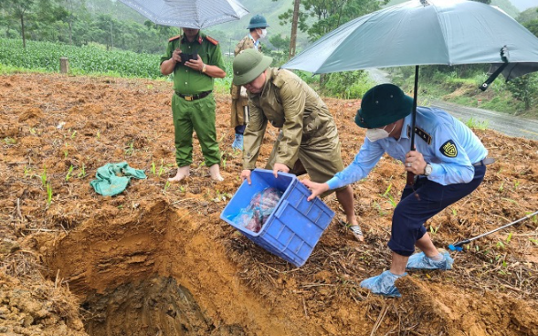 Sơn La: Tiêu hủy hơn 100kg sản phẩm động vật không rõ nguồn gốc