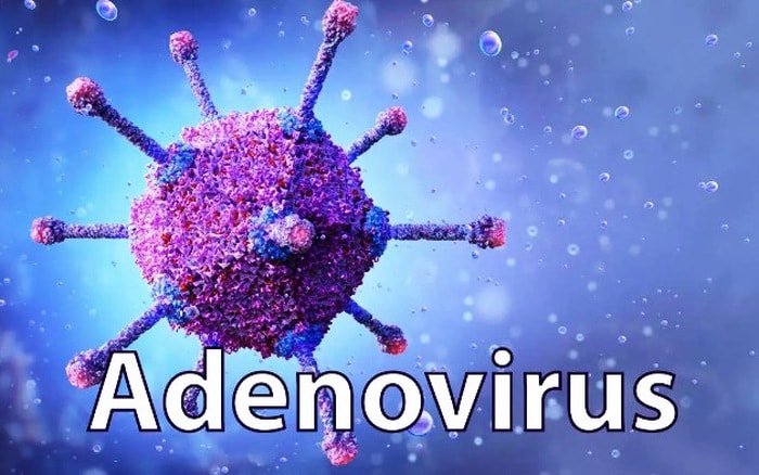 Phân biệt dấu hiệu mắc Adenovirus với bệnh cảm cúm thông thường