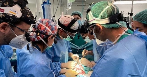 Ca bệnh đầu tiên trên thế giới được ghép ruột