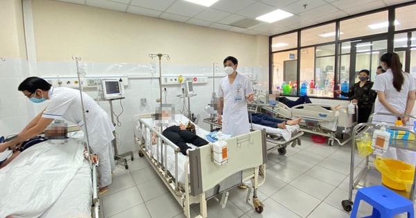 Hòa Bình: Hàng loạt người bị ong tấn công, 4 người nhiễm độc nặng