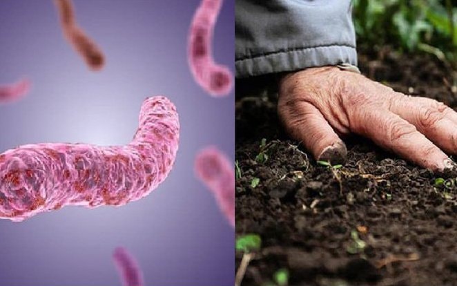 Liên tiếp ghi nhận các ca mắc và tử vong do nhiễm khuẩn Whitmore, cần làm gì để phòng bệnh?