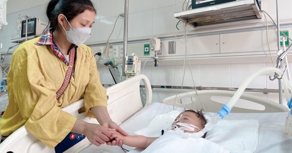 MS 825: Sự sống mong manh của bé 2 tuổi dân tộc Dao không may bị trâu húc