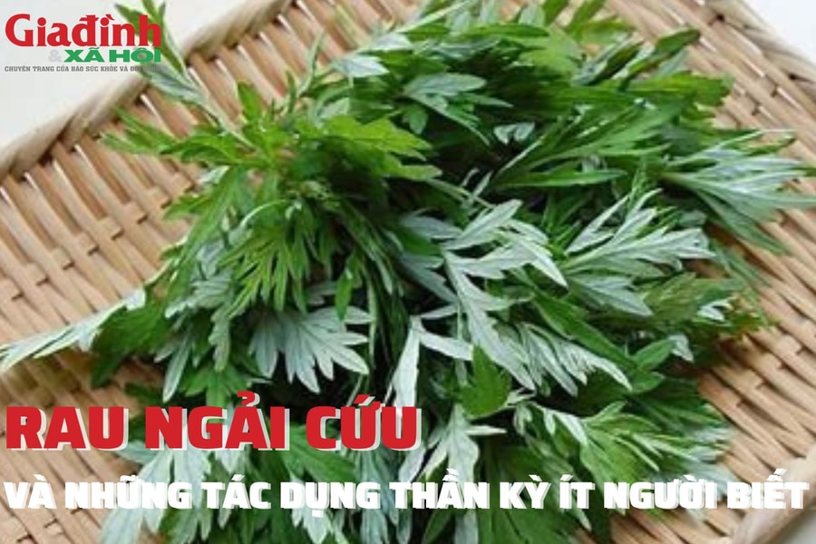 Rau ngải cứu và những tác dụng thần kỳ ít người biết