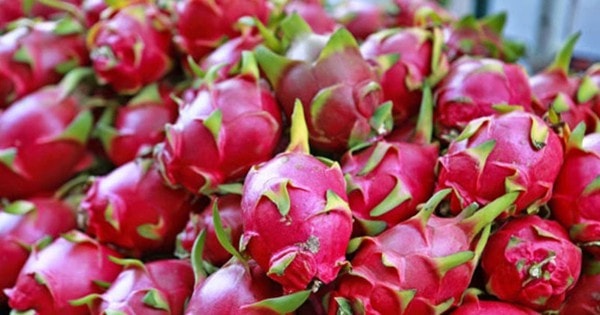 Giá sầu riêng tăng vọt, nho Nhật, cherry Mỹ và thanh long Việt cùng giảm sâu