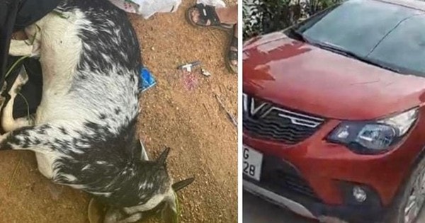 Hà Nội: Hé lộ lý do hoãn phiên toà xét xử 3 cựu công an bắn chết dê của người dân