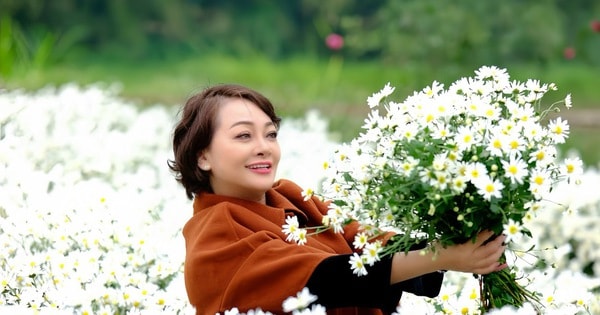 Nghệ sĩ Trà My ngẫu hứng bên vườn cúc họa mi ở Hải Dương