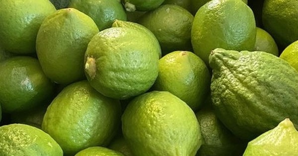 Chanh Quảng Đông đắt đỏ và nỗi buồn cam sành ‘ngọt nước’ giá bằng cốc trà đá