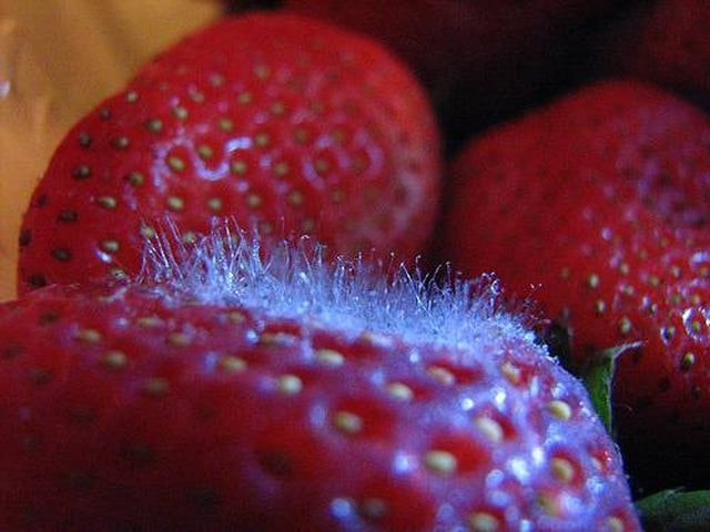 Giới hạn ô nhiễm độc tố vi nấm trong thực phẩm theo QCVN 8-1:2011/BYT