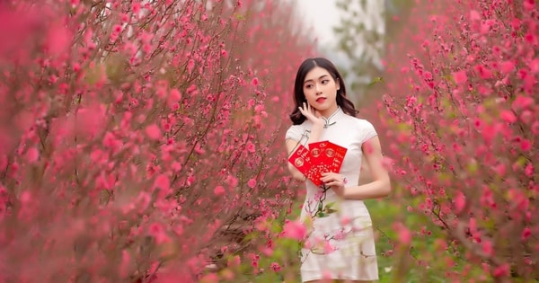 Bộ LĐ, TB&XH thông báo lịch nghỉ Tết Nguyên đán 2024