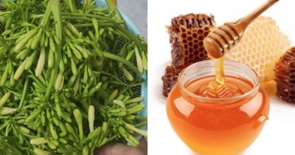 Dùng hoa đu đủ đực ngâm mật ong để chữa bệnh, nếu có dấu hiệu này cần dừng ngay!