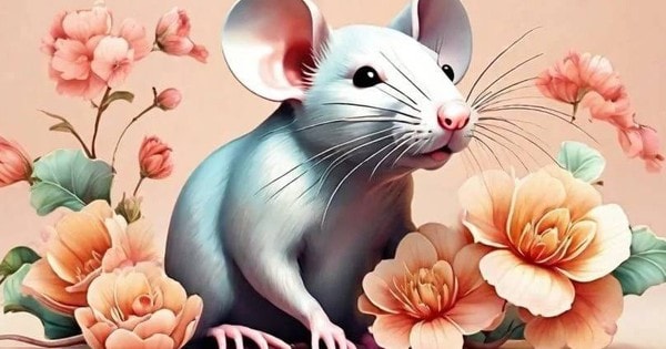 Dự báo vận khí tuổi Tý năm 2024 Giáp Thìn