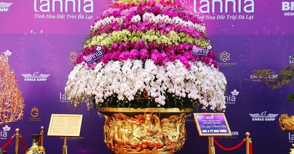 Ngắm chậu lan hồ điệp mạ vàng 24K, nặng hơn 1 tấn, nhìn giá ai cũng 'choáng váng'