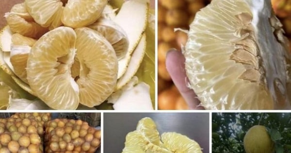 Bưởi Diễn ngon ngọt, ăn như thế nào để giữ dáng, đẹp da và giảm cân hiệu quả?