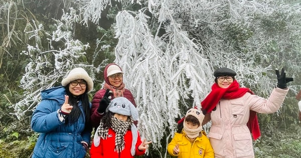 Cùng chiêm ngưỡng cánh rừng băng giá trắng xoá tuyệt đẹp ở đỉnh Mẫu Sơn