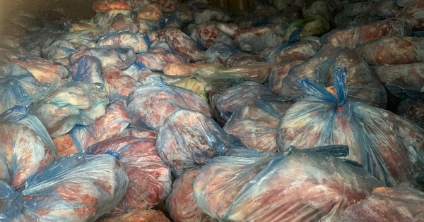 Gian thương Hà Nội thu gom 40 tấn thịt lợn nhiễm virus dịch tả châu Phi, dịch tai xanh giá rẻ mạt trục lợi