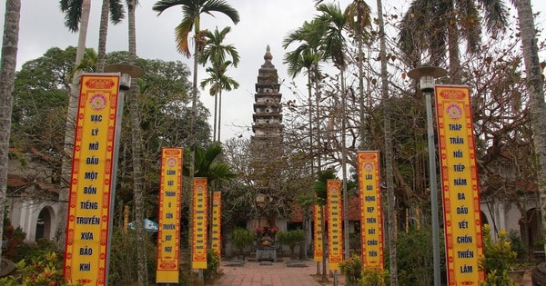 Ngôi chùa huyền bí 800 năm tuổi ở Nam Định lưu giữ nhiều di sản