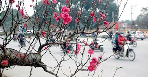 Không khí lạnh liên tục tăng cường, miền Bắc sẽ rét cỡ nào trong dịp Tết Nguyên đán?