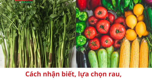Cách chọn mua rau, củ, quả an toàn
