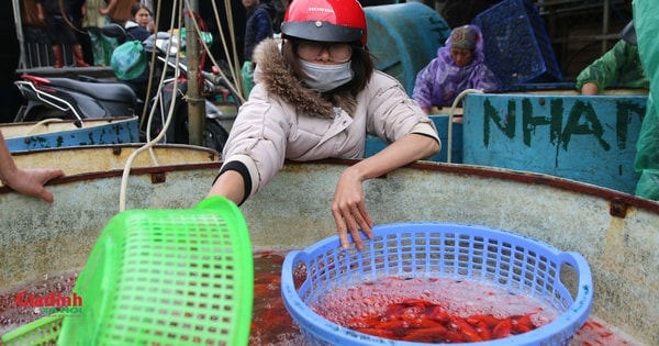 Nhộn nhịp chợ cá Yên Sở trước ngày tiễn ông Công, ông Táo về trời