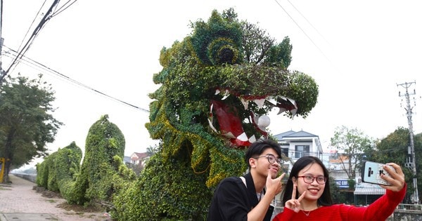 Bất ngờ diện mạo mới của cặp rồng xanh ở Vinh sau 'thẩm mỹ'